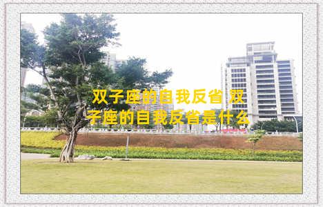 双子座的自我反省 双子座的自我反省是什么